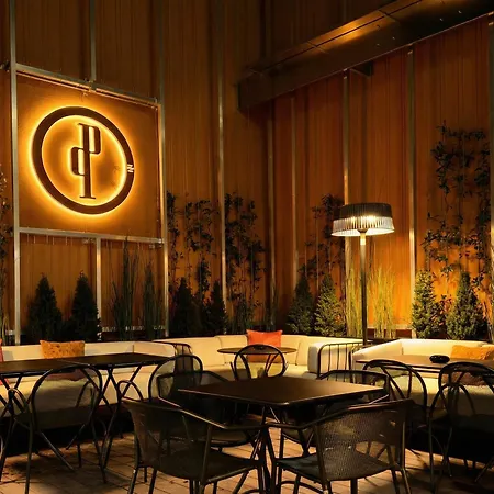 Perpetual Elysee Montaigne ホテル 4*